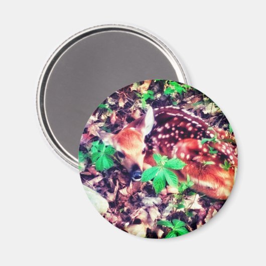 FAWN MAGNET (Vorderseite/Rückseite)