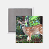 Fawn Magnet (Vorderseite/Rückseite)
