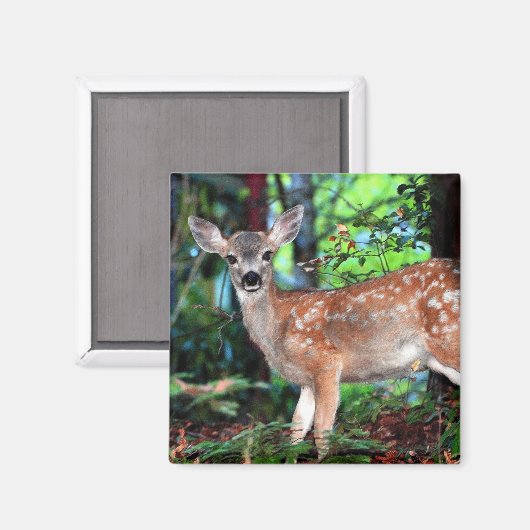 Fawn Magnet (Vorderseite/Rückseite)