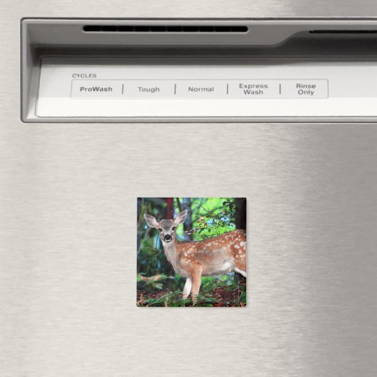 Fawn Magnet (In Situ (Geschirrspüler))