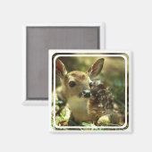 Fawn Magnet (Vorderseite/Rückseite)