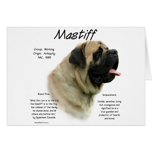 Fawn Mastiff History (Vorderseite (Horizontal))