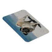 Fawn Mops am Strand Magnet (Rechte Seite)