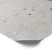 Fawn Mops am Strand Poster (Ecke)