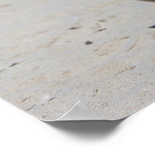 Fawn Mops am Strand Poster (Ecke)