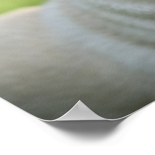 Fawn Mops on Alert Poster (Ecke)