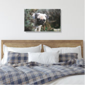 Fawn Mops Puppy Headshot Leinwanddruck (Insitu (Schlafzimmer))