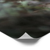 Fawn Mops Puppy Headshot Poster (Ecke)