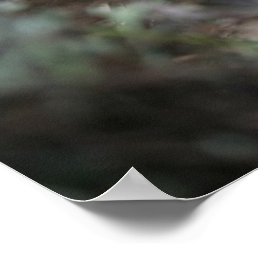 Fawn Mops Puppy Headshot Poster (Ecke)