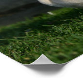 Fawn Mops Puppy Poster (Ecke)