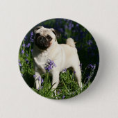 Fawn Mops Stehend in den Bluebells Button (Vorderseite)