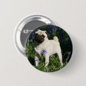 Fawn Mops Stehend in den Bluebells Button (Vorne & Hinten)