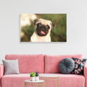 Fawn Mops Welpe Panting Leinwanddruck (Insitu (Wohnzimmer))