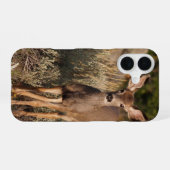 Fawn Phone Case iPhone 16 Hülle (Rückseite (Horizontal))