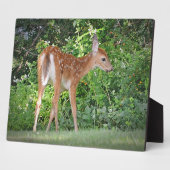 Fawn Plaque Fotoplatte (Seite)