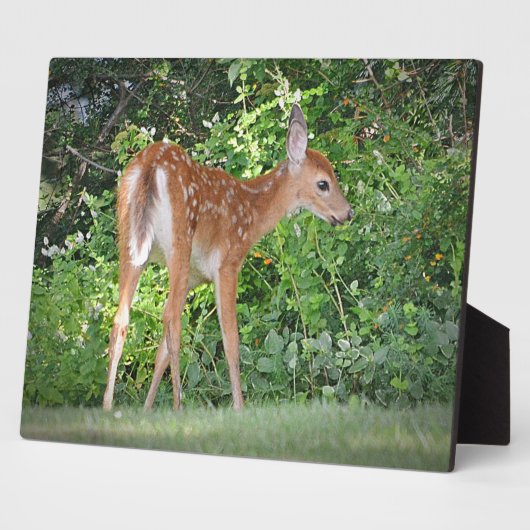 Fawn Plaque Fotoplatte (Seite)