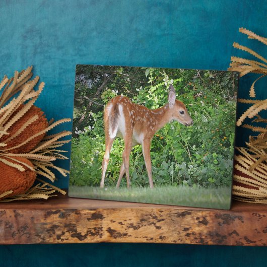 Fawn Plaque Fotoplatte (Seite)