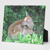 Fawn Plaque Fotoplatte (Seite)