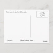 Fawn Postcard Postkarte (Rückseite)