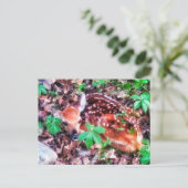 FAWN POSTCARD POSTKARTE (Stehend Vorderseite)