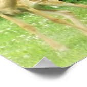 Fawn Poster (Ecke)