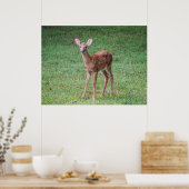 Fawn Poster (Küche)
