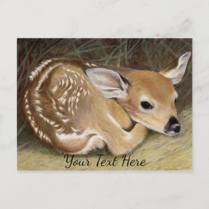 Fawn Postkarte