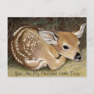 Fawn Postkarte