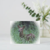 Fawn Postkarte (Stehend Vorderseite)