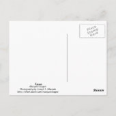 Fawn Postkarte (Rückseite)