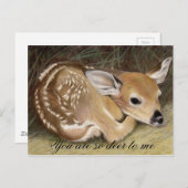 Fawn Postkarte (Vorne/Hinten)