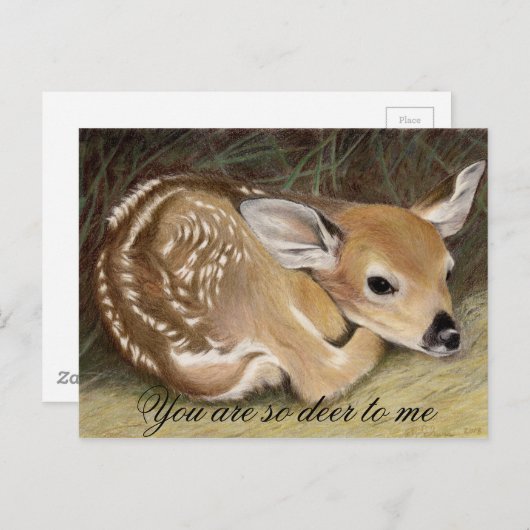 Fawn Postkarte (Vorne/Hinten)