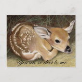 Fawn Postkarte (Vorderseite)