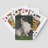 Fawn Pug Puppy Spielkarten (Rückseite)