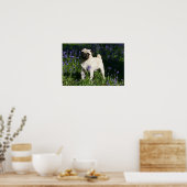 Fawn Pug Standing in the Bluebells Poster (Küche)