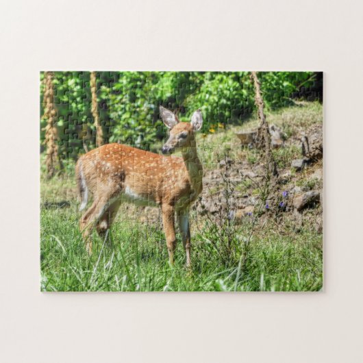 Fawn Puzzle (Horizontal)