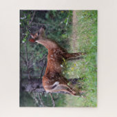 Fawn Puzzle (Vertikal)