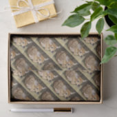 Fawn Seidenpapier (Geschenk)