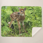 FAWN SHERPADECKE (Vorderseite (Horizontal))