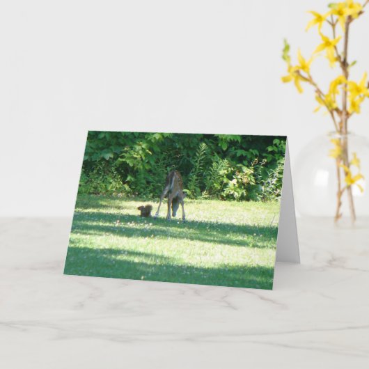 Fawn Squirrel Friends Karte (Gelbe Blume)
