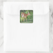 Fawn Sticker (Tasche)