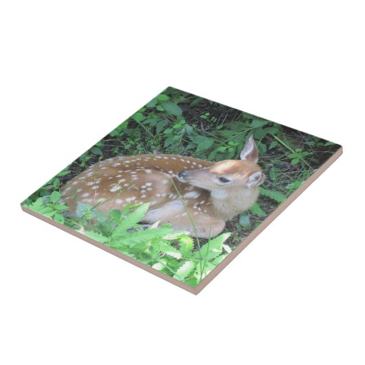 Fawn Trivet Fliese (Seite)