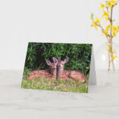 Fawn Twins - Pender Island BC. Karte (Gelbe Blume)