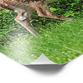 Fawn vor einem Zaun Fotodruck (Ecke)