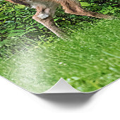 Fawn vor einem Zaun Fotodruck (Ecke)