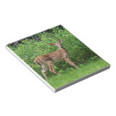 Fawn vor einem Zaun Notizblock (angewinkelt)