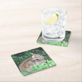 Fawn Wartete für seinen Untersetzer (Vor Ort)