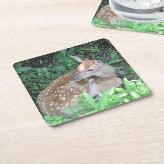 Fawn Wartete für seinen Untersetzer (angewinkelt)