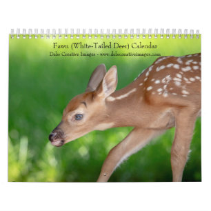 Fawn (Weißschwanzhirsche) 2026 Kalender