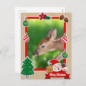 Fawn (Weißschwanzhirsche) Weihnachtskarte Feiertagspostkarte (Vorne/Hinten)